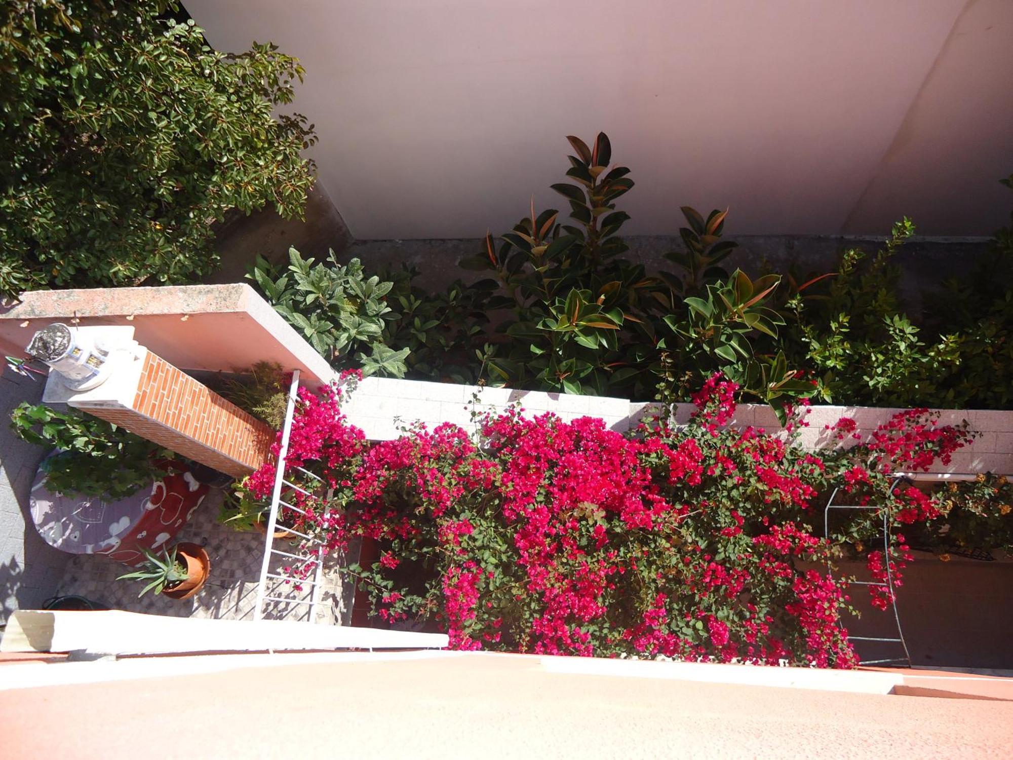 Hotel Aviz ฟิเกราดาฟอซ ภายนอก รูปภาพ